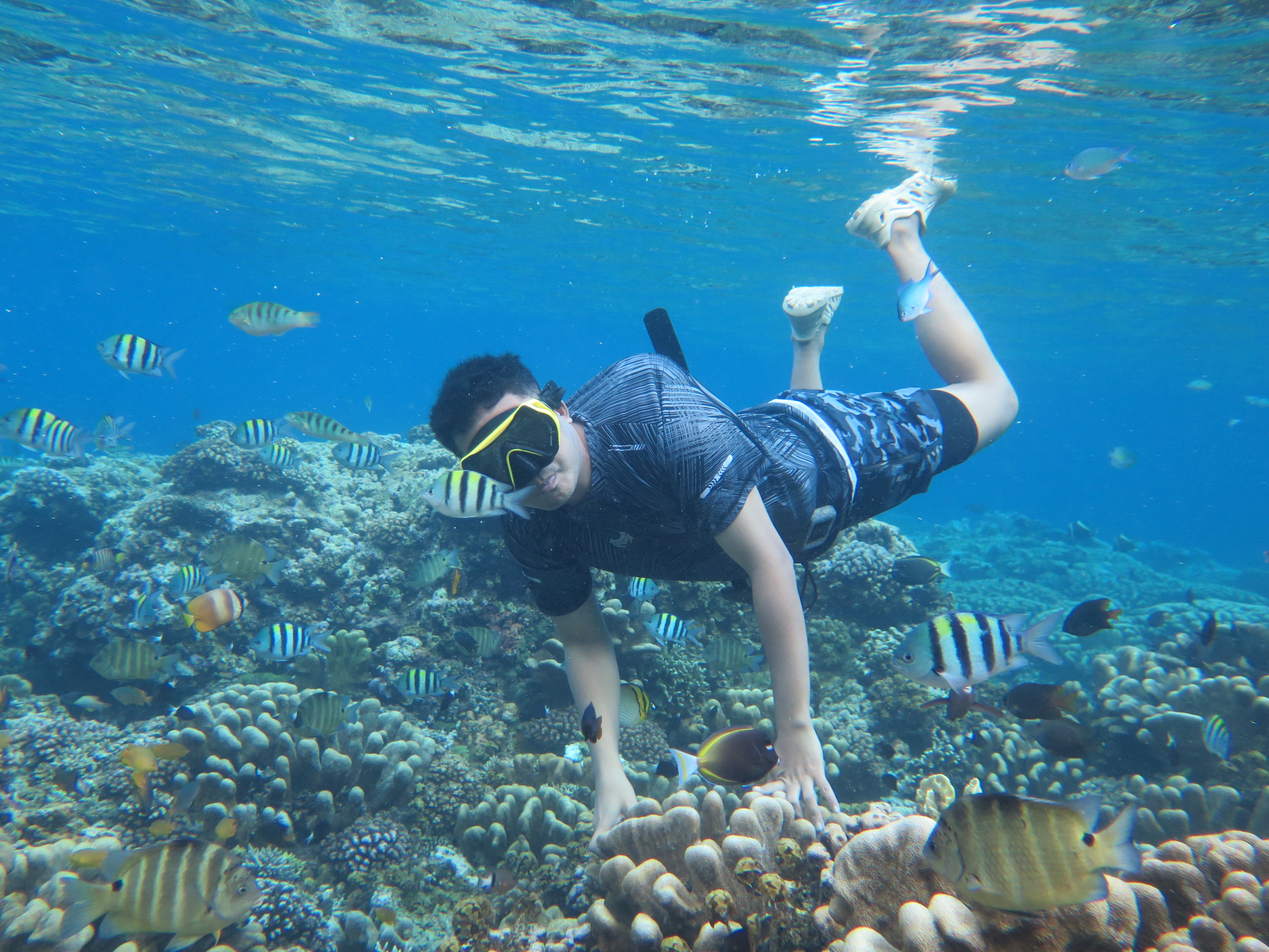 Menjaga Kehidupan dari Pesisir